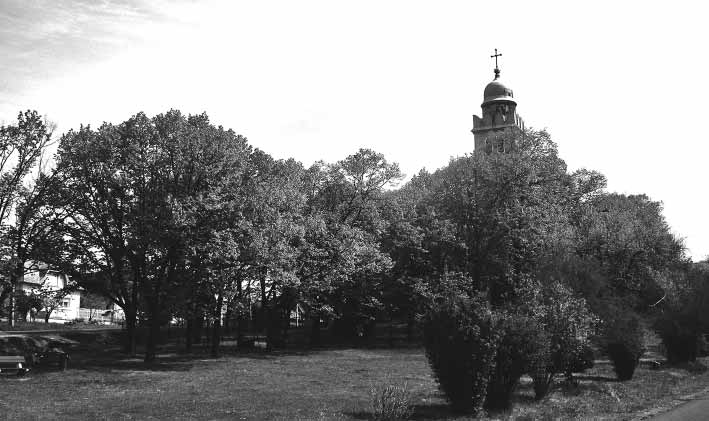 Boross Edina A nagytarcsai templomot körülölelő hársfák meséje 1 A községben 1931-ben a régi evangélikus templom helyén új templomot építettek.