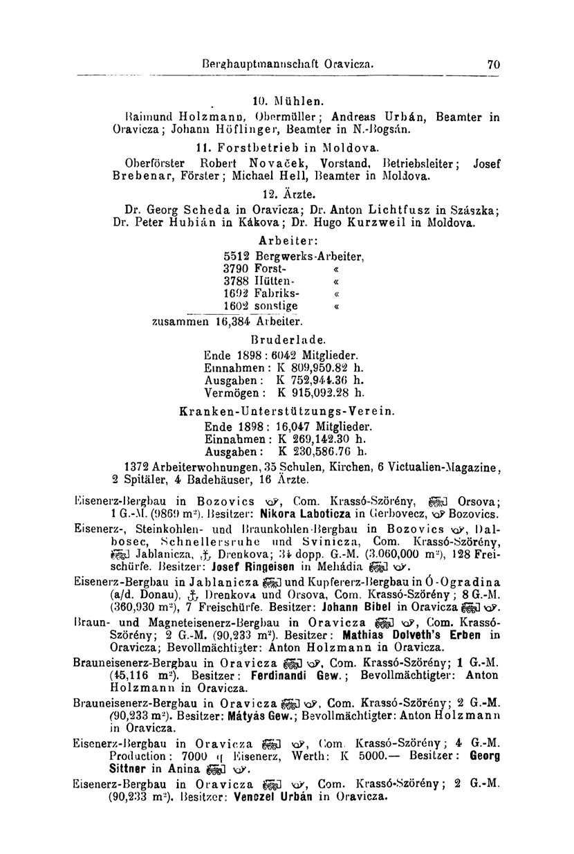 Berghauptmannschaft Oravicza. 70 10. Mühlen. Raimund Holzmann, Obermüller; Andreas Urbán, Beamter in Oravicza; Johann Höflinger, Beamter in N.-Bogsán. 11. Forstbetrieb in Moldova.