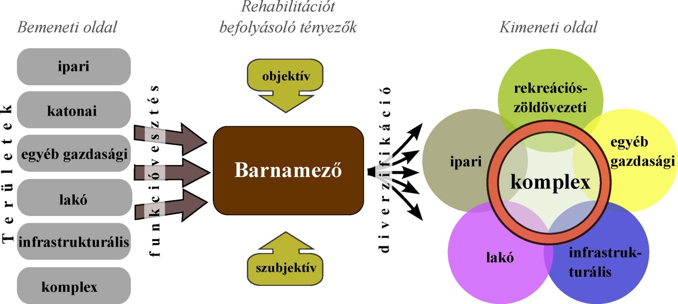 Barnamező-rehabilitáció alakulnak ki a barnamezők, milyen használati funkciót nyernek a rehabilitáció során, illetve mely tényezők befolyása hat a folyamatra. 12.