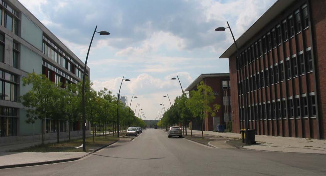 Barnamező-rehabilitáció barnamezők eredetileg szinte kizárólag monofunkciósok voltak, a rehabilitáció során törekednek többfunkciós területek kialakítására, melyek értelemszerűen több célcsoportot