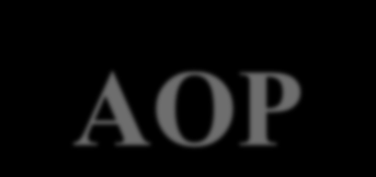 Nagyhatékonyságú oxidációs eljárások - AOP AOP eljárások + Szennyező -anyag Oxidálószerek Oxidálószerek + Biodegradálható komponensek
