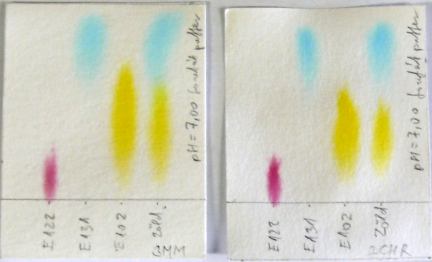 27. ábra Ételfestékek mintakromatogramja kétfajta típusú kromatográfiás papíron. Vágjuk le a megadott méretű réteget. Ceruzával jelöljük meg a startvonalat és az egyes minták startpontját.