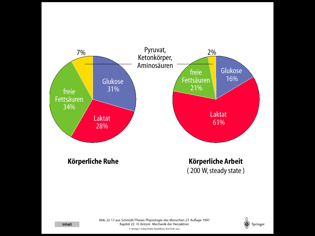 Szabad zsírsavak A szív energiametabolizmusának szubsztrátjai Piroszőlősav, ketontestek aminosavak Szabad zsírsavak nyugalom munkavégzés A szív munkavégzése Két részből áll: 1.