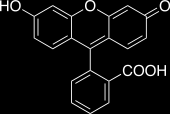 kvantum gyöngy (d = 2-10 nm, 100-100000 atom) fehérje