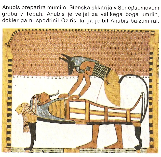 M111-511-1-1M 15 24. Egipčani so trupla umrlih balzamirali ali mumificirali. To njihovo ravnanje je vplivalo tudi na razvoj medicine. Pojasnite razlog za takšno ravnanje.