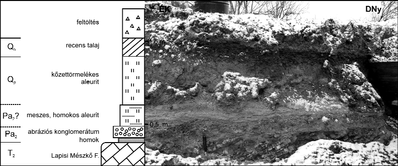 Földtani Közlöny 143/1 (2013) 69 2. ábra. A feltárás ÉK-i, partközeli része Figure 2. The north-western, proximal part of the exposure nyugatabbra kibukkanó Rókahegyi Dolomit szolgáltathatott.