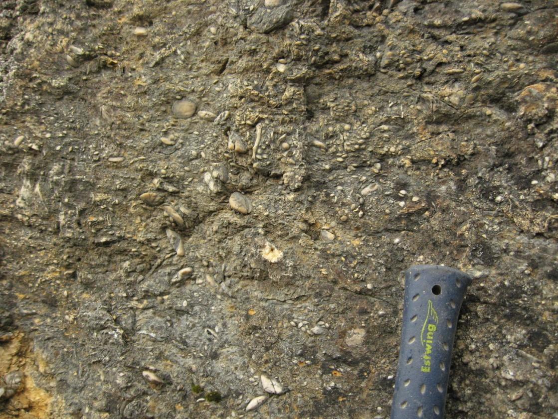 Ezek a jegyek gravitációs tömegmozgásra, csuszamlásra utalnak, ahol a korábban leülepedett, már bizonyos mértékig konszolidálódott rétegek az áthalmozás során belső szerkezetüket nagyrészt