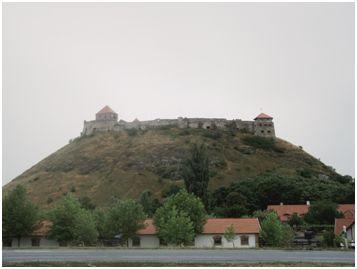 A szabad szemmel is látható ősmaradványok leggyakoribb csoportjai a korallok, a puhatestűek (csigák, kagylók) és tízlábú rákok.