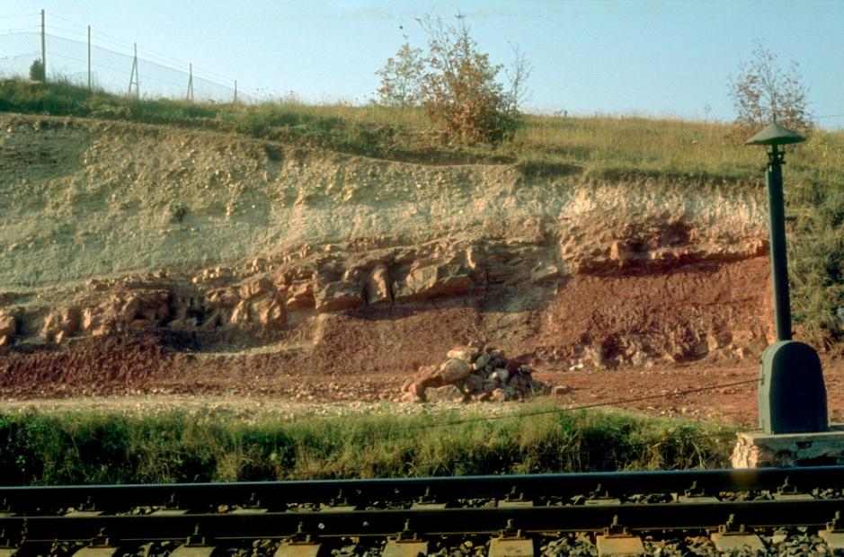 3. nap, augusztus 29. 1. megálló Perm/triász határ, Balatonarács (HAAS JÁNOS) A szelvény, amely Balatonarács délkeleti részén, a 71-es út közelében lévő vasúti bevágásban található.