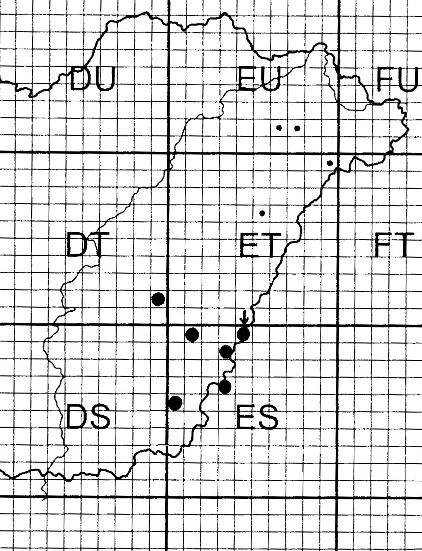Deli Tamás Domokos Tamás Danyik Tibor 1. ábra: A vizsgált tiszántúli magaskórós minták elhelyezkedése UTM hálózatos térképen Vertigo pusilla in situ előfordulása a Tiszántúlon.
