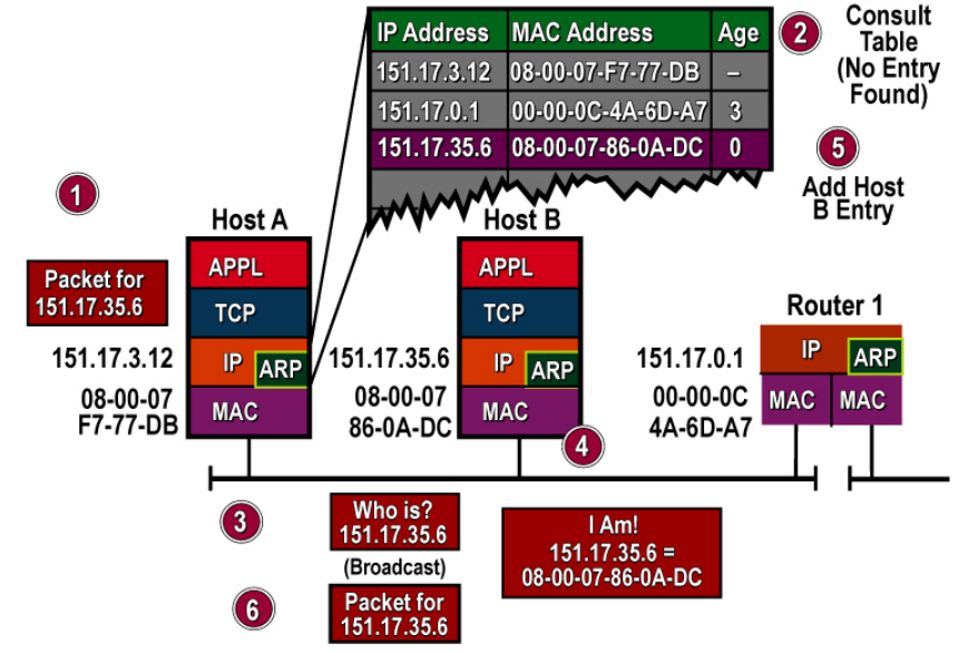 Address Resolution Protocol 48 IP 1 IP 2 IP 3 1 2 3 E 1 E 2 E 3 F3 F2 F1
