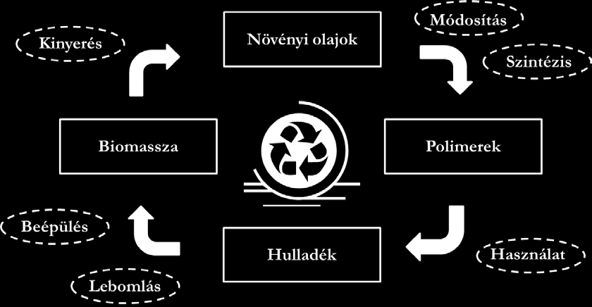 A kettőskötések révén ezek a vegyületek enyhe körülmények között különböző addíciós reakciókba vihetők, így felhasználásukkal számos polimertípus könnyen előállítható.