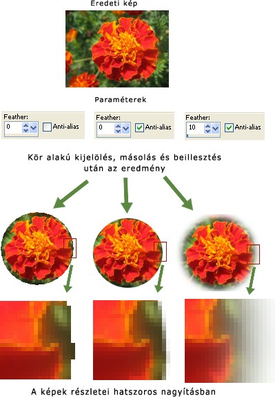 Szabadkézi kijelölés A szabadkézi kijelölések elvégzéséhez az Eszközök eszközsor (Tools Toolbar) Freehand Selection (Szabadkézi