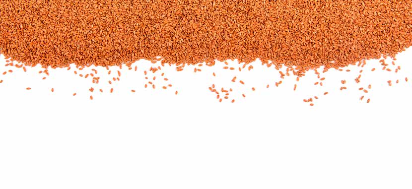 Tartalom Sárgadinnye 3 Görögdinnye 4 Sárgarépa 8 Póréhagyma 9 Fejeskáposzta 10 Saláta 11 Gumós Zeller 12 Hónapos retek 13 Paprika 14 Paradicsom 15 Cukkíni 15 Vöröshagyma 16 Konzervuborka 17 Ipari