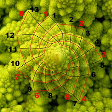 4. Fibonacci sorozat 4.5.