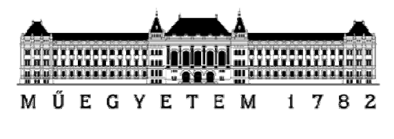 Budapesti Műszaki és Gazdaságtudományi Egyetem Építőmérnöki Kar : Kétdimenziós víz-levegő többfázisú áramlástani modell kalibrációja és verifikációja Tudományos Diákköri Dolgozat Kecse Barbara
