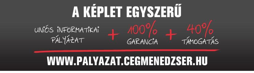 Milyen szoftverfinanszírozási lehetőségek vannak? 1.