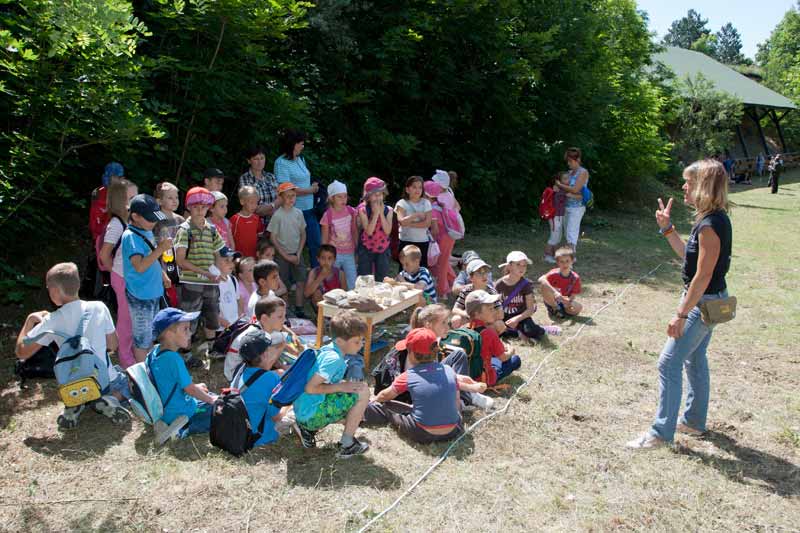 Egész napos geoprogram