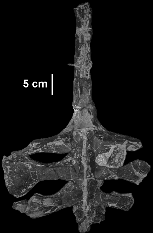 Iharkút: az egyetlen dinoszaurusz