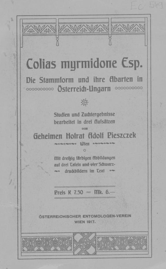 A szecessziós Narancsszín Surán kismonográfia Geheimen Hofrat Adolf Pieszczek, 1907: Colias myrmidone Esp. Die Stammfrom und ihre Abarten in Österreich-Ungarn.