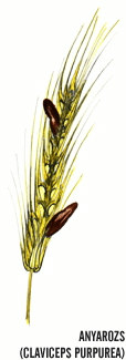 3. Imidazolvázas vegyületek hisztamin 2 2 2 4-(2-aminoetil)imidazol 4-(2-aminoethyl)imidazole 4 1 hisztidin 2 2 3-(4-imidazolil)-2-aminopropánsav 2-Amino-3-(4-imidazolyl)-propanic acid hisztamin: az