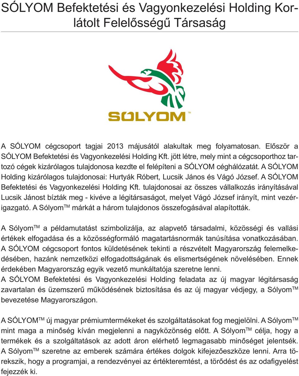 A Sólyom Holding kizárólagos tulajdonosai: Hurtyák Róbert, Lucsik János és Vágó József. A SÓLYOM Befektetési és Vagyonkezelési Holding Kft.