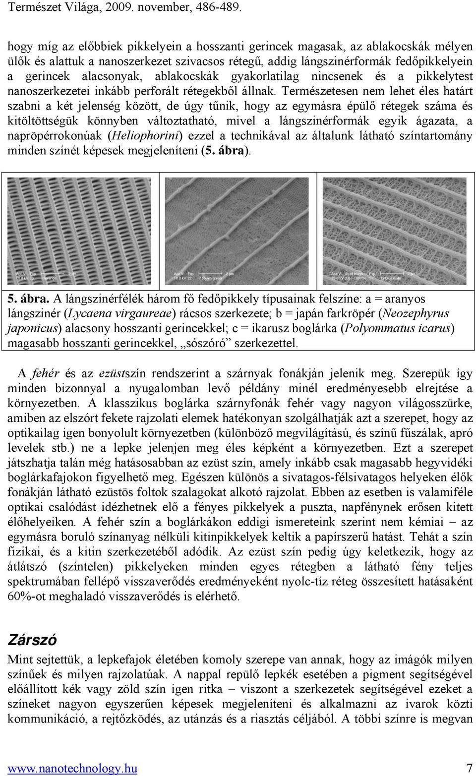Természetesen nem lehet éles határt szabni a két jelenség között, de úgy tűnik, hogy az egymásra épülő rétegek száma és kitöltöttségük könnyben változtatható, mivel a lángszinérformák egyik ágazata,