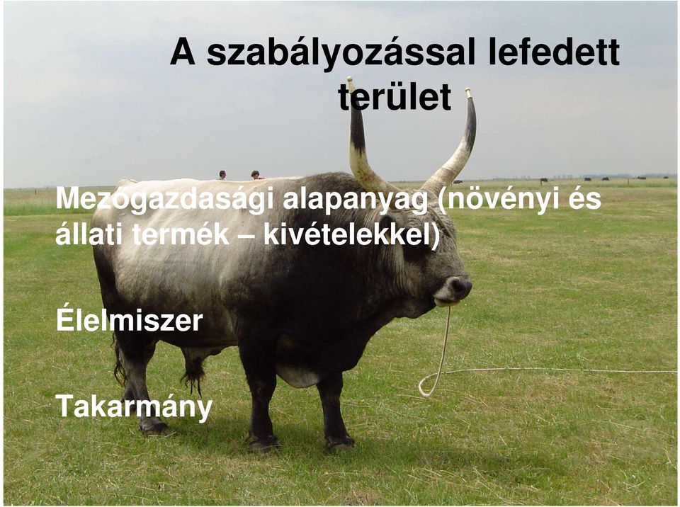 alapanyag (növényi és állati