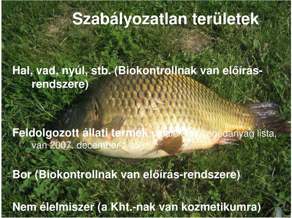 termék (adalék- és segédanyag lista, van 2007.