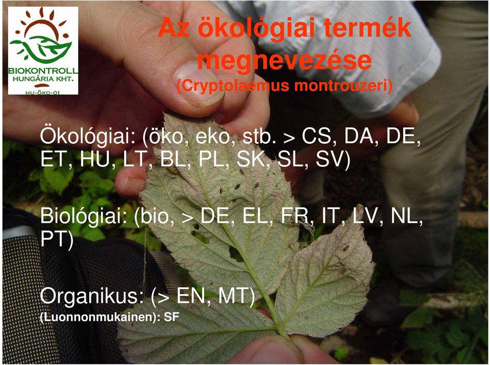 > CS, DA, DE, ET, HU, LT, BL, PL, SK, SL, SV)