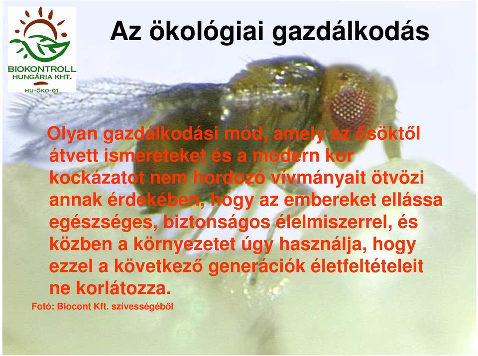 ellássa egészséges, biztonságos élelmiszerrel, és közben a környezetet úgy használja,