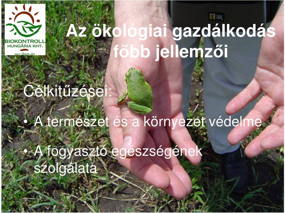 természet és a környezet