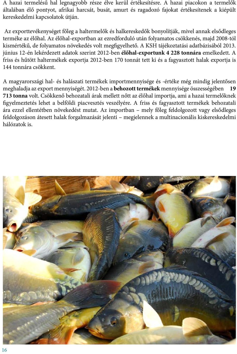 Az exporttevékenységet főleg a haltermelők és halkereskedők bonyolítják, mivel annak elsődleges terméke az élőhal.