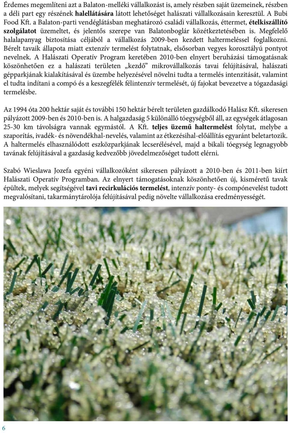 Megfelelő halalapanyag biztosítása céljából a vállalkozás 2009-ben kezdett haltermeléssel foglalkozni.