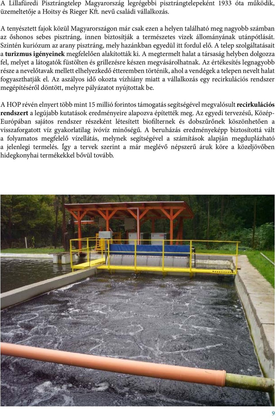 Szintén kuriózum az arany pisztráng, mely hazánkban egyedül itt fordul elő. A telep szolgáltatásait a turizmus igényeinek megfelelően alakították ki.