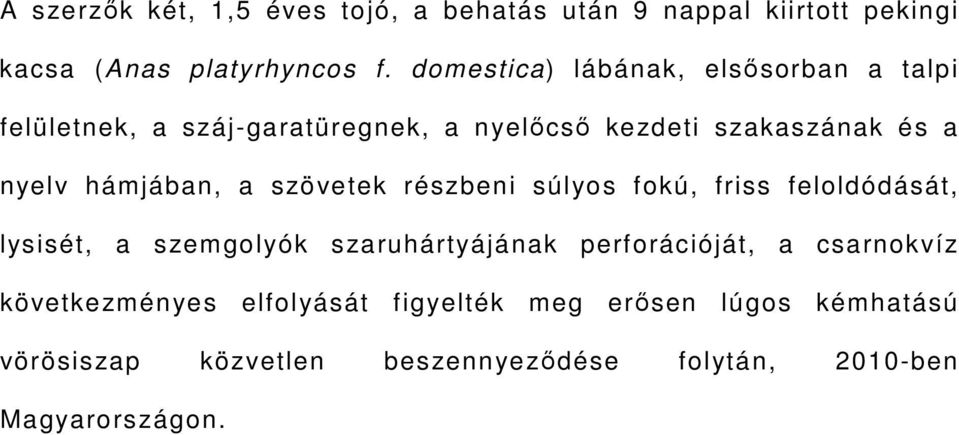 hámjában, a szövetek részbeni súlyos fokú, friss feloldódását, lysisét, a szemgolyók szaruhártyájának perforációját, a