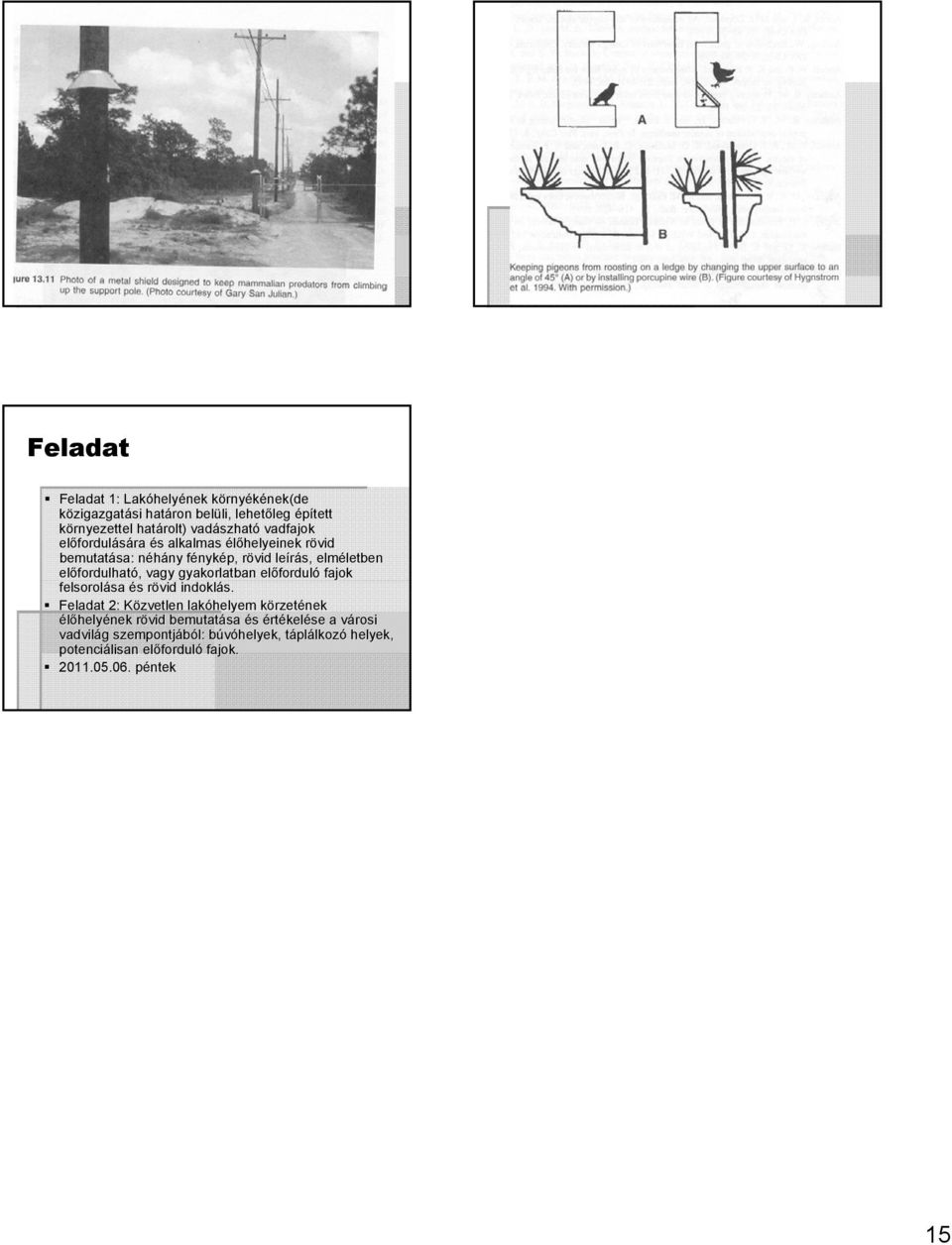 fordulható,, vagy gyakorlatban előfordul forduló fajok felsorolása sa és s rövid r indoklás.