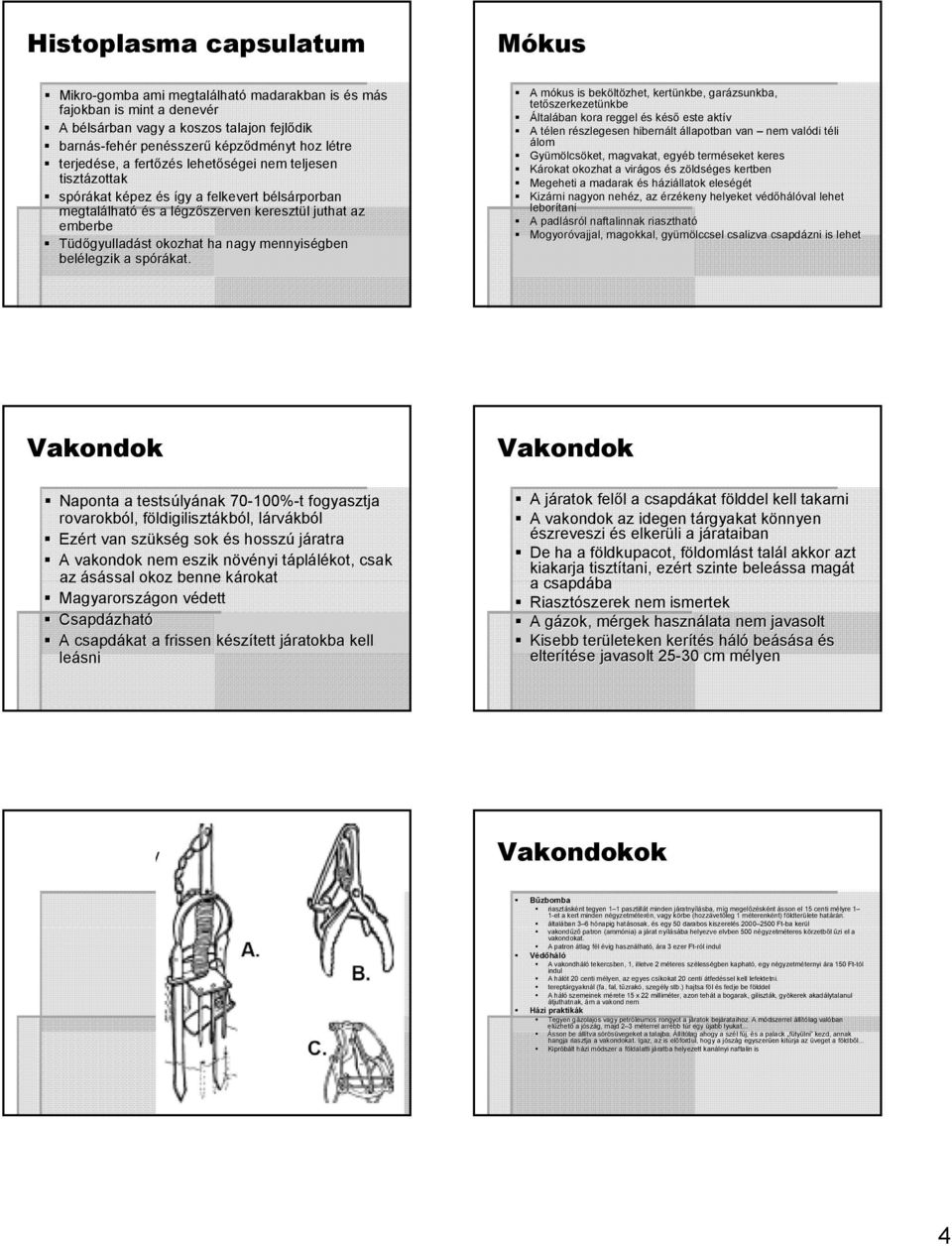 juthat az emberbe Tüdőgyulladást okozhat ha nagy mennyiségben belélegzik legzik a spórákat.