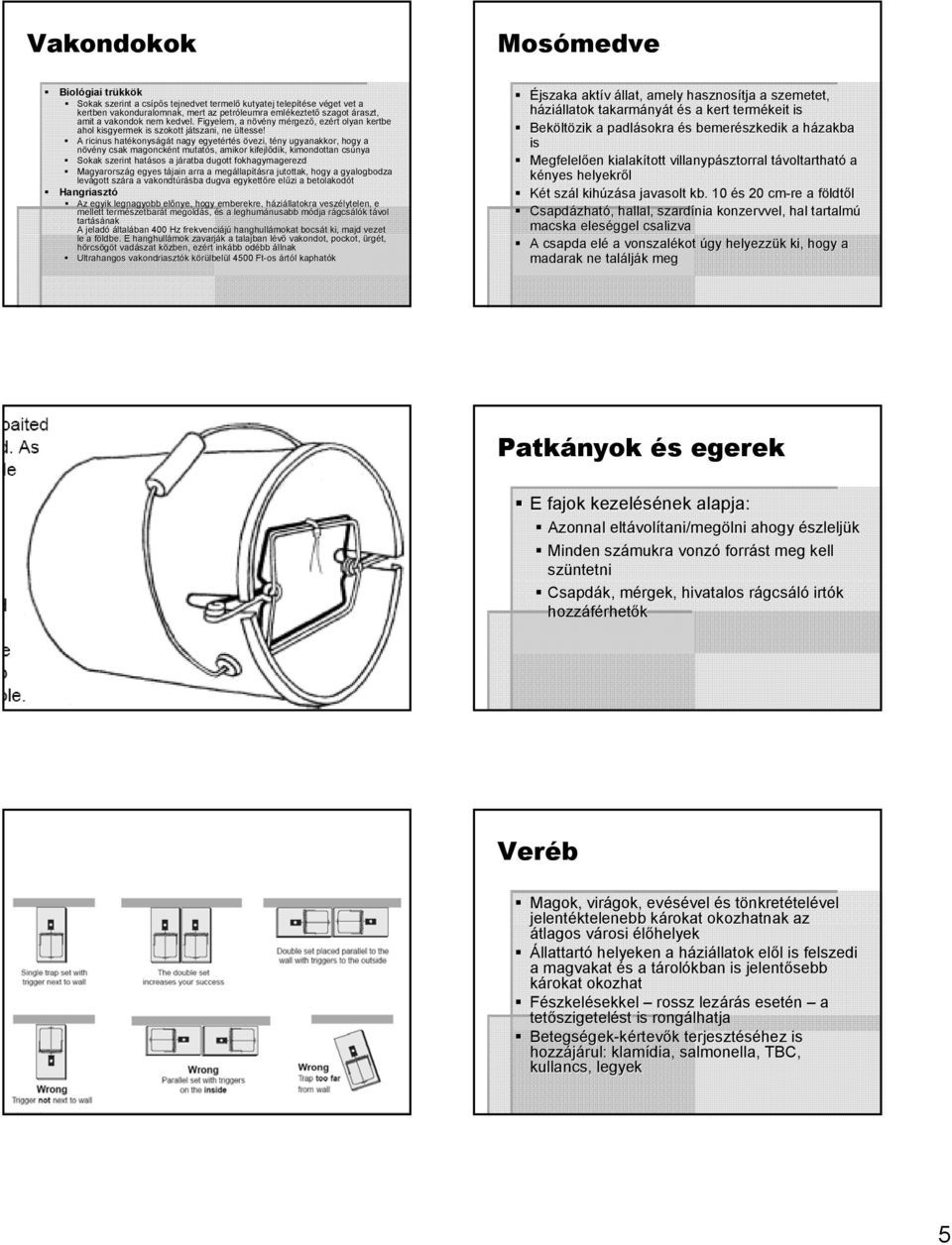 A ricinus hatékonys konyságát t nagy egyetért rtés övezi, tény t ugyanakkor, hogy a növény ny csak magoncként nt mutatós, amikor kifejlődik, kimondottan csúnya Sokak szerint hatásos a járatba j