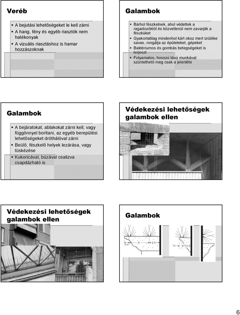 terjeszt Folyamatos, hosszú távú munkával szüntethet ntethető meg csak a jelenléte Galambok A bejáratokat, ablakokat zárni z kell, vagy függönnyel borítani, az egyéb b berepülési lehetőségeket dróth