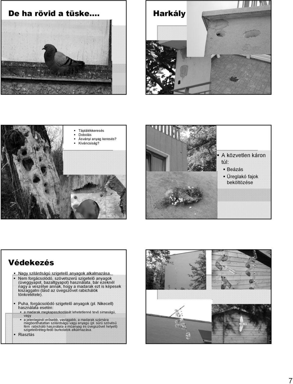 Nem forgácsol csolódó,, szövetszer vetszerű szigetelő anyagok (üveggyapot, bazaltgyapot) használata, bár b r ezeknél nagy a veszélye annak, hogy a madarak ezt is képesek k kiszaggatni (lásd az