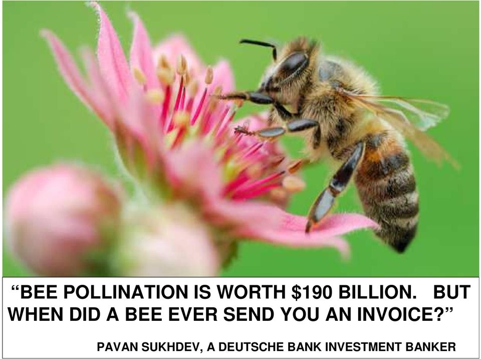 BUT WHEN DID A BEE EVER SEND YOU