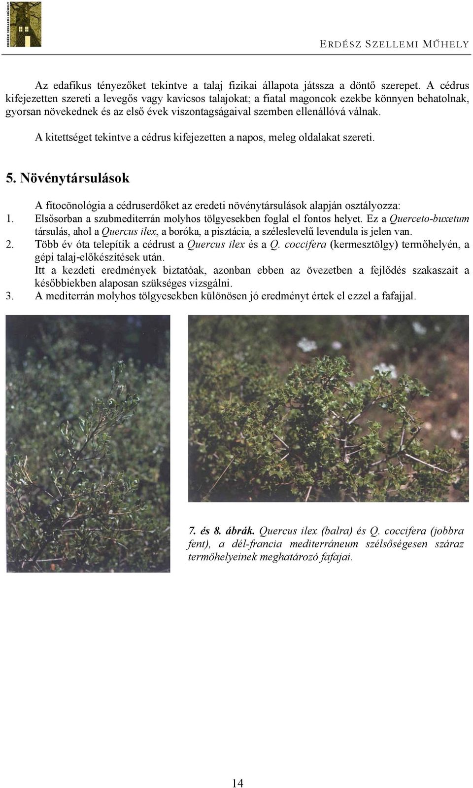A kitettséget tekintve a cédrus kifejezetten a napos, meleg oldalakat szereti. 5. Növénytársulások A fitocönológia a cédruserdőket az eredeti növénytársulások alapján osztályozza: 1.
