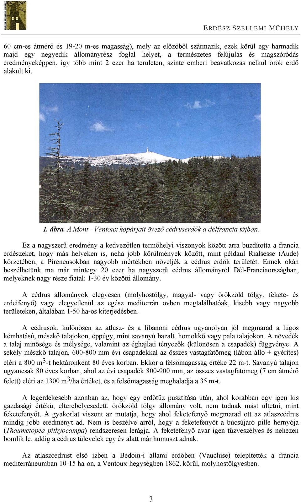 Ez a nagyszerű eredmény a kedvezőtlen termőhelyi viszonyok között arra buzdította a francia erdészeket, hogy más helyeken is, néha jobb körülmények között, mint például Rialsesse (Aude) körzetében, a