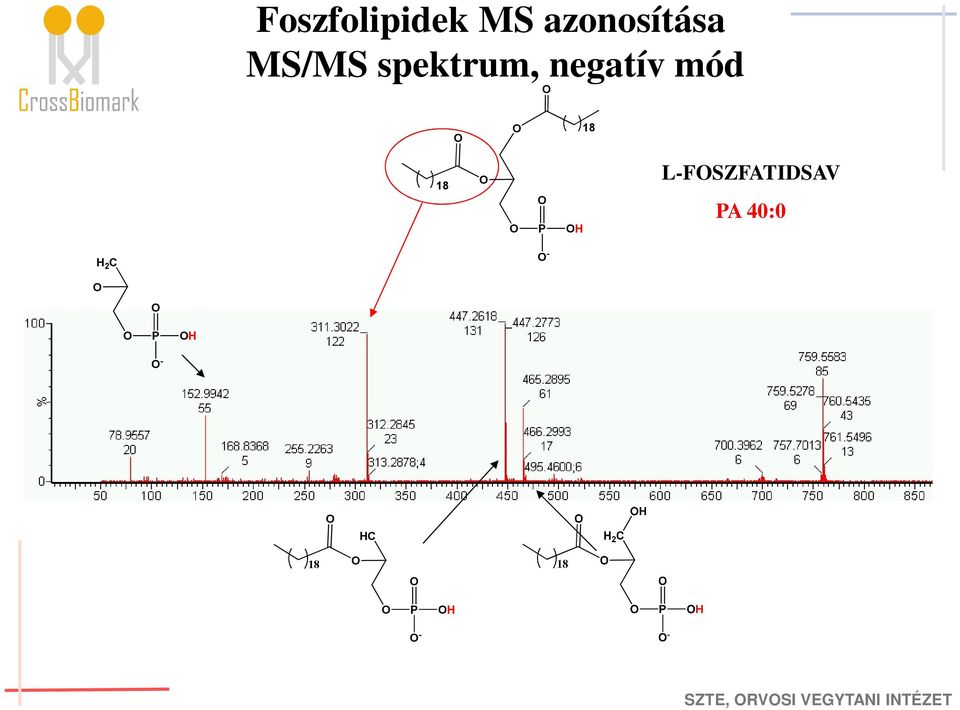 18 18 P H L-FSZFATIDSAV PA