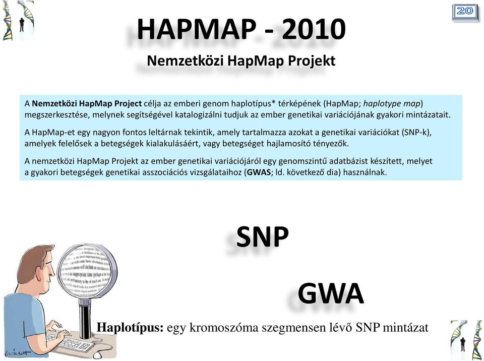 A HapMap-et egy nagyon fontos leltárnak tekintik, amely tartalmazza azokat a genetikai variációkat(snp-k), amelyek felelősek a betegségek kialakulásáért, vagy betegséget