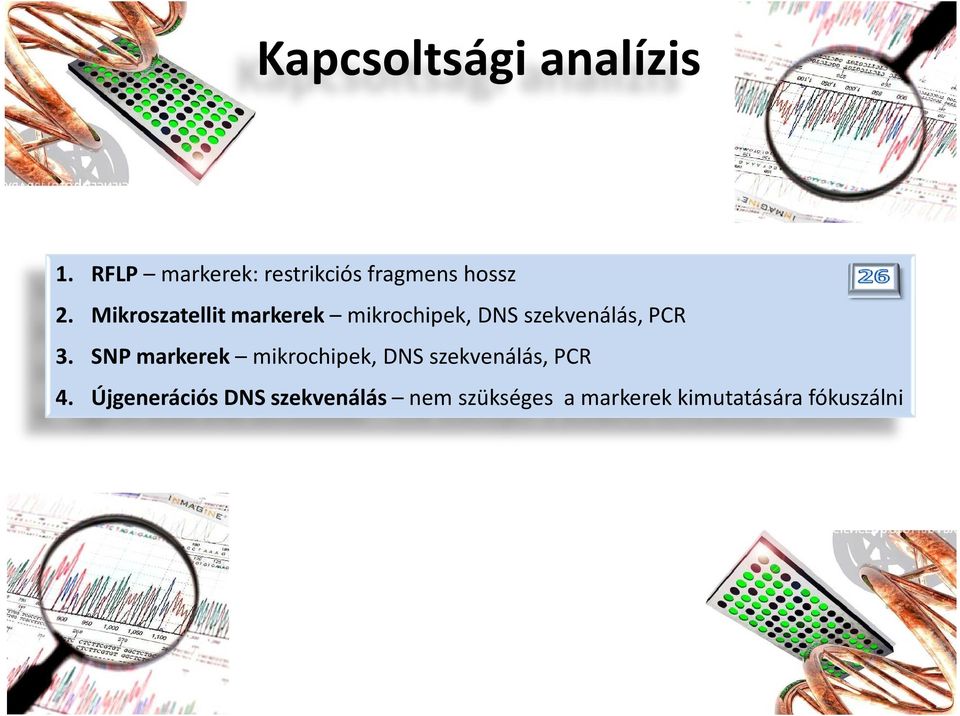 Mikroszatellit markerek mikrochipek, DNS szekvenálás, PCR 3.