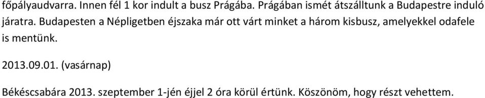 Budapesten a Népligetben éjszaka már ott várt minket a három kisbusz, amelyekkel