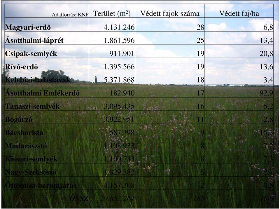 868 18 3,4 Ásotthalmi Emlékerdő 182.940 17 92,9 Tanaszi-semlyék 3.095.435 16 5,2 Bogárzó 3.922.951 11 2,8 Bácsborista 587.