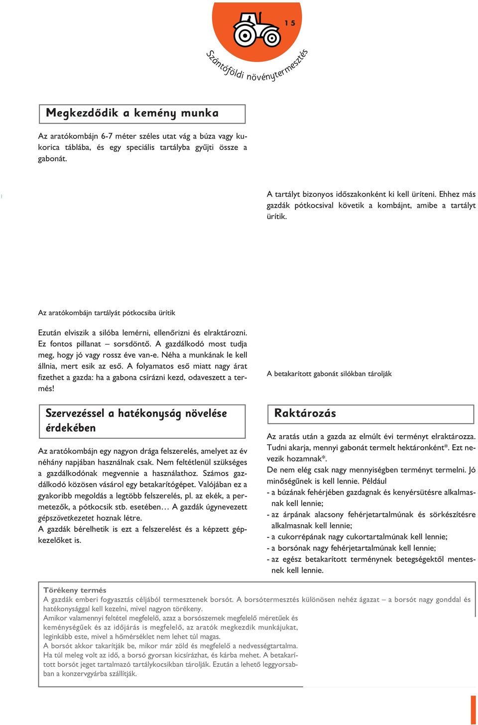 z aratókombájn tartáyát pótkocsiba ürítik Ezután eviszik a sióba emérni, eenôrizni és eraktározni. Ez fontos pianat sorsdöntô. gazdákodó most tudja meg, hogy jó vagy rossz éve van-e.